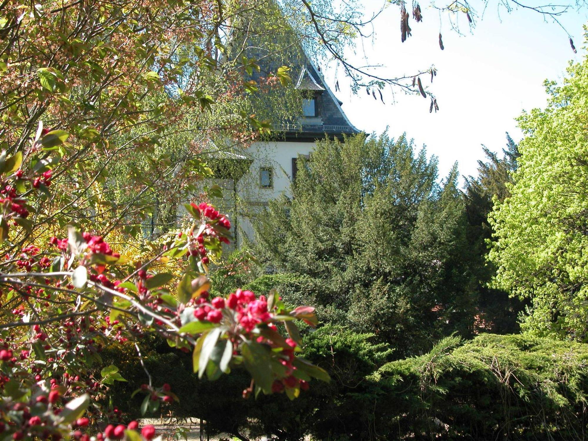 Domaine De Beaupre - Hotel The Originals Relais Guebwiller Exteriör bild